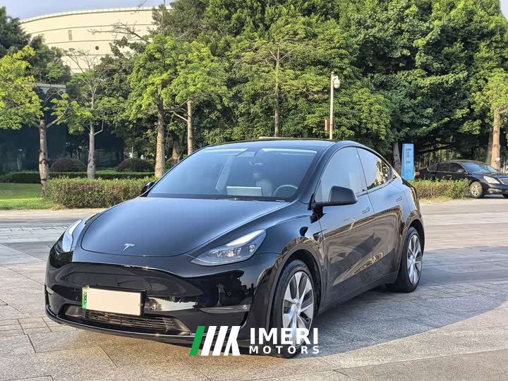 Tesla Model Y Standard Range RWD - ავტომობილი ჩინეთიდან