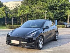 Tesla Model Y Standard Range RWD - ფოტო 1