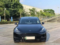 Tesla Model Y Standard Range RWD - ფოტო 2