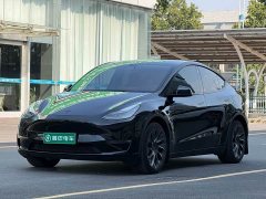 Tesla Model Y 2022 Long Range All-Wheel Drive - ფოტო 1