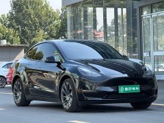 Tesla Model Y 2022 Long Range All-Wheel Drive - ფოტო 3