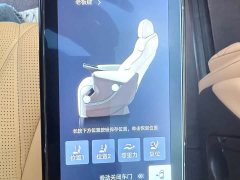 Denza BYD Denza D9 2025 DM-i Two-Wheel Drive Flagship Edition - ფოტო 14
