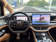 Denza BYD Denza D9 2025 DM-i Two-Wheel Drive Flagship Edition - ფოტო 5