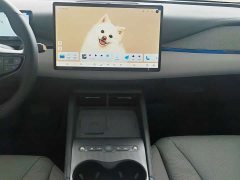 BYD Dolphin 06 DM-i Touring DM-i 150KM Flagship - ფოტო 13