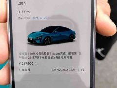 Xiaomi SU7 2024 Rear-Wheel Drive Ultra-Long Range Advanced Autonomous Driving Pro - ფოტო 16