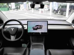 Tesla Model 3 2022 Rear-Wheel Drive - ფოტო 17