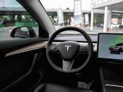 Tesla Model 3 2022 Rear-Wheel Drive - ფოტო 18