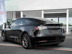 Tesla Model 3 2022 Rear-Wheel Drive - ფოტო 6