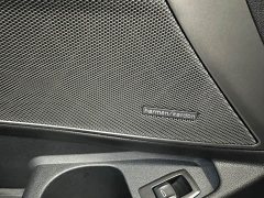 BMW 3 Series 330Li M Sport Night Edition Package - ფოტო 10