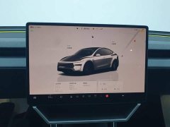 Tesla Model Y Rear-Wheel Drive - ფოტო 20