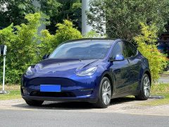 Tesla Model Y Long Range All-Wheel Drive 3D7 - ფოტო 1