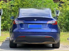 Tesla Model Y Long Range All-Wheel Drive 3D7 - ფოტო 13