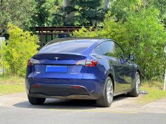 Tesla Model Y Long Range All-Wheel Drive 3D7 - ფოტო 14