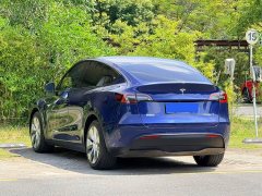 Tesla Model Y Long Range All-Wheel Drive 3D7 - ფოტო 15