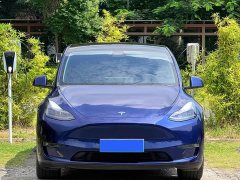 Tesla Model Y Long Range All-Wheel Drive 3D7 - ფოტო 2