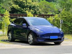 Tesla Model Y Long Range All-Wheel Drive 3D7 - ფოტო 3