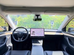 Tesla Model Y Long Range All-Wheel Drive 3D7 - ფოტო 6
