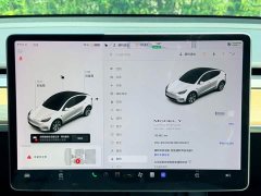 Tesla Model Y Long Range All-Wheel Drive 3D7 - ფოტო 9