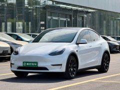 Tesla Model Y Long Range All-Wheel Drive - photo 1