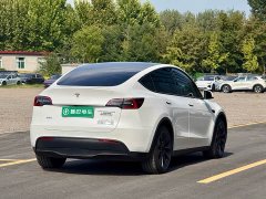 Tesla Model Y Long Range All-Wheel Drive - photo 5