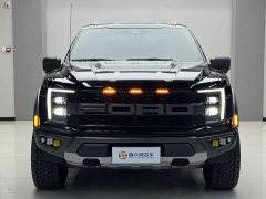 Ford F-150 Raptor 3.5T Raptor - ფოტო 1