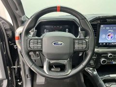 Ford F-150 Raptor 3.5T Raptor - ფოტო 16