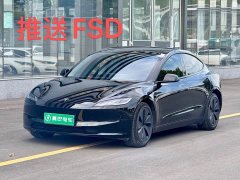 Tesla Model 3 Rear-Wheel Drive - ფოტო 2