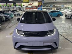 BYD Dolphin 420km Fashion Edition - ფოტო 2