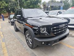 Great Wall Dachshund 2021 1.5T DCT Two-Wheel Drive Border Collie Edition - ფოტო 3