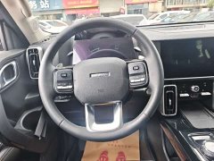 Great Wall Dachshund 2021 1.5T DCT Two-Wheel Drive Border Collie Edition - ფოტო 7