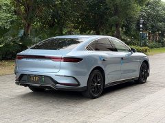 BYD Han DM-i Glory Edition 121KM Premium - ფოტო 14