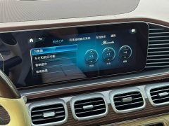 Mercedes-Benz Maybach GLS 480 4MATIC - ფოტო 8