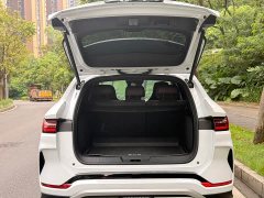 BYD Song Plus New Energy 2025 DM-i 112KM Prestige - ფოტო 12
