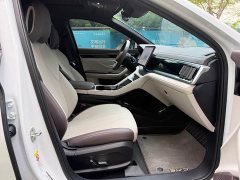 BYD Song Plus New Energy 2025 DM-i 112KM Prestige - ფოტო 6