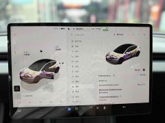Tesla Model 3 2023 Rear-Wheel Drive - ფოტო 4