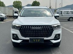 Haval H6 1.5T Guochao Champion Edition - photo 1