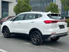 Haval H6 1.5T Guochao Champion Edition - photo 13