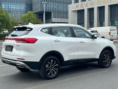 Haval H6 1.5T Guochao Champion Edition - photo 14
