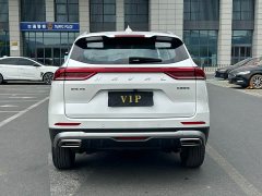 Haval H6 1.5T Guochao Champion Edition - photo 15