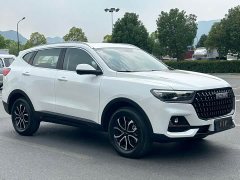 Haval H6 1.5T Guochao Champion Edition - photo 2
