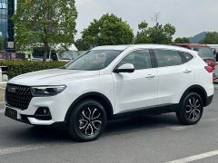 Haval H6 1.5T Guochao Champion Edition - photo 3