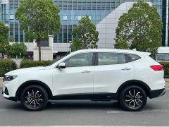 Haval H6 1.5T Guochao Champion Edition - photo 4