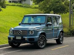 Mercedes-Benz G-Class G 450 d - ფოტო 1