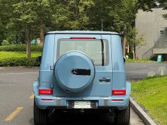 Mercedes-Benz G-Class G 450 d - ფოტო 10