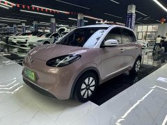 Wuling Binguo 333km Quick Enjoy Edition - ფოტო 1