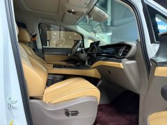 Denza BYD Denza D9 2022 DM-i 1040 Premium - ფოტო 10