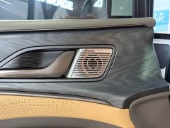 Denza BYD Denza D9 2022 DM-i 1040 Premium - ფოტო 19