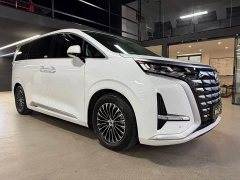 Denza BYD Denza D9 2022 DM-i 1040 Premium - ფოტო 3