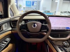 Denza BYD Denza D9 2022 DM-i 1040 Premium - ფოტო 9