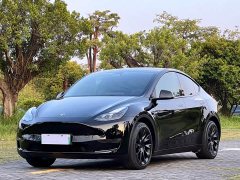 Tesla Model Y Standard Range RWD - ფოტო 1